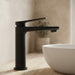 RUSHY Basin Mixer in Black with sleek curved spout and lever handle