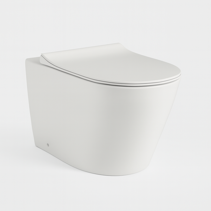 In-Wall Tornado Rimless Floor Toilet Pan